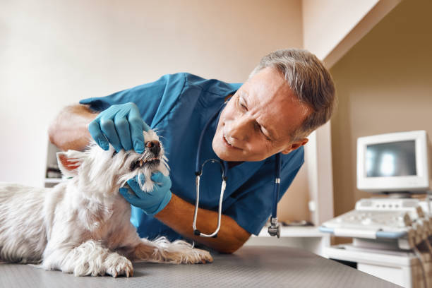 Best Emergency Treatment for Dental Infections or Abscesses in Three Rivers, TX